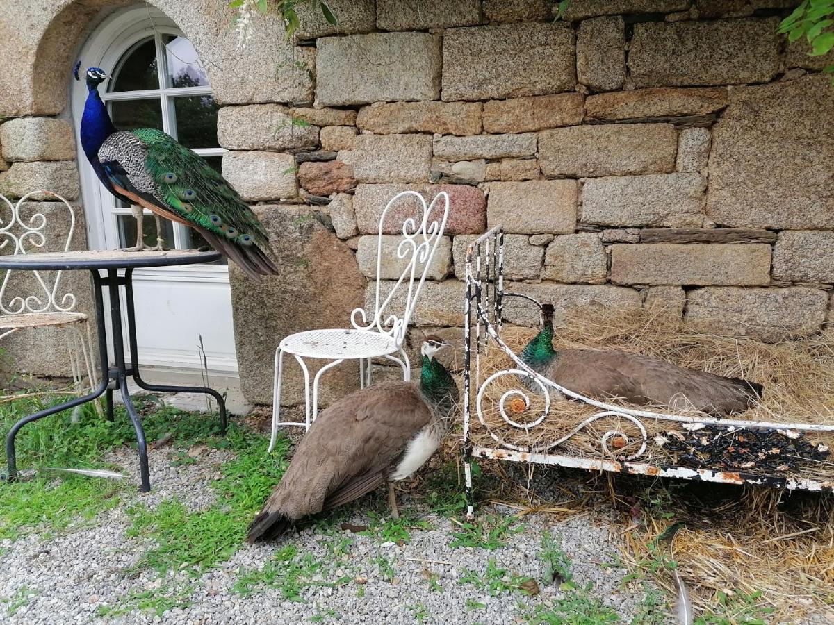 Bed and Breakfast Frairie Du Divit Pontivy Exteriér fotografie